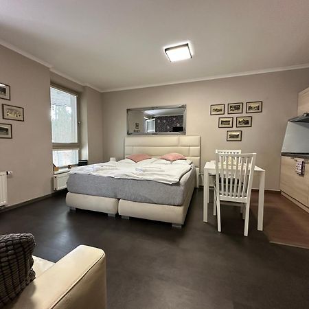 Harrachov Resident Apartments "Terrace & Chill" - High Speed Wifi, Smart Tv, Netflix, Disney Plus Eksteriør billede