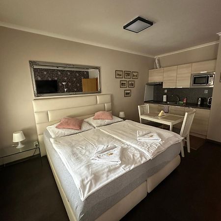 Harrachov Resident Apartments "Terrace & Chill" - High Speed Wifi, Smart Tv, Netflix, Disney Plus Eksteriør billede