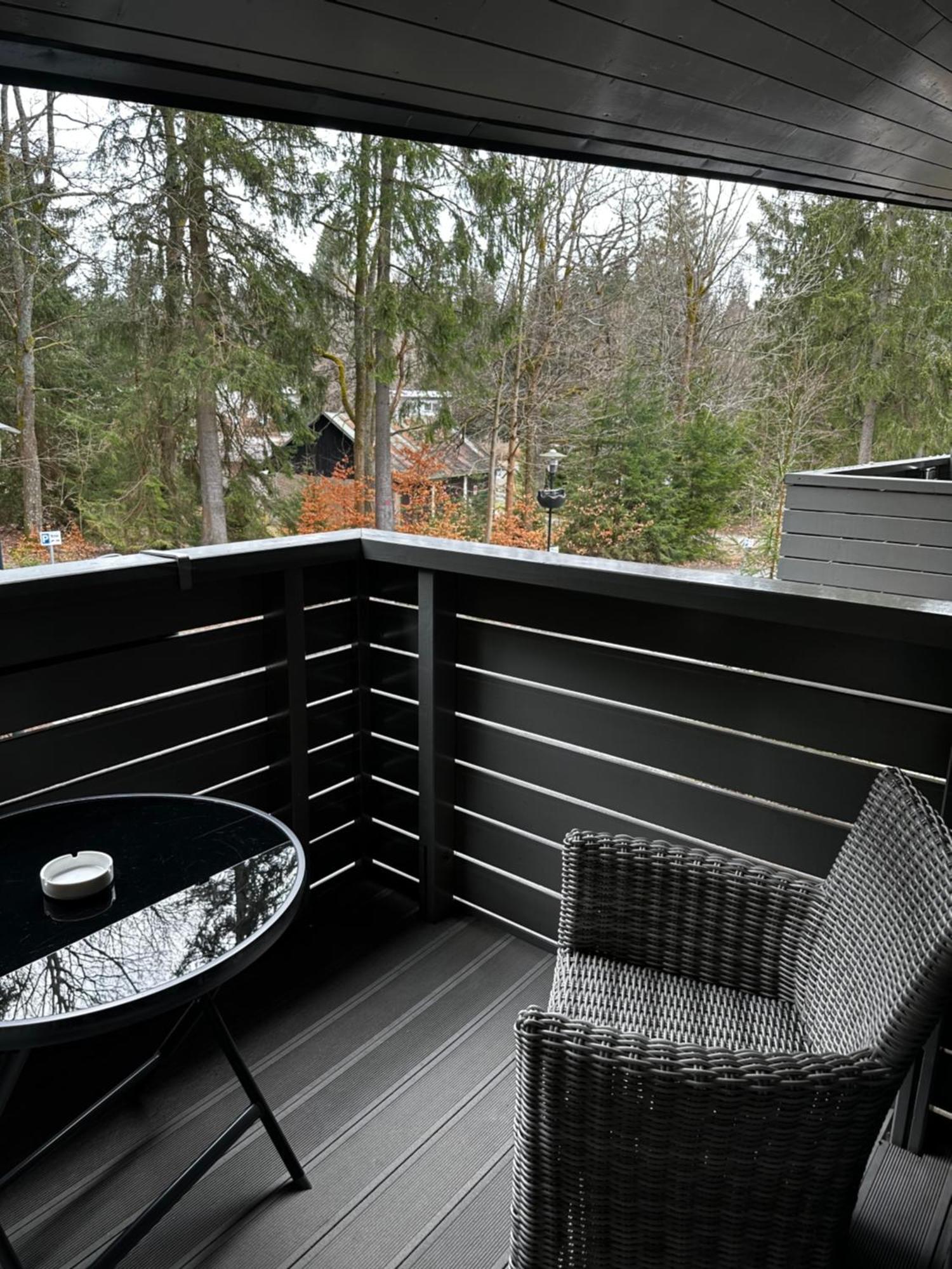 Harrachov Resident Apartments "Terrace & Chill" - High Speed Wifi, Smart Tv, Netflix, Disney Plus Eksteriør billede