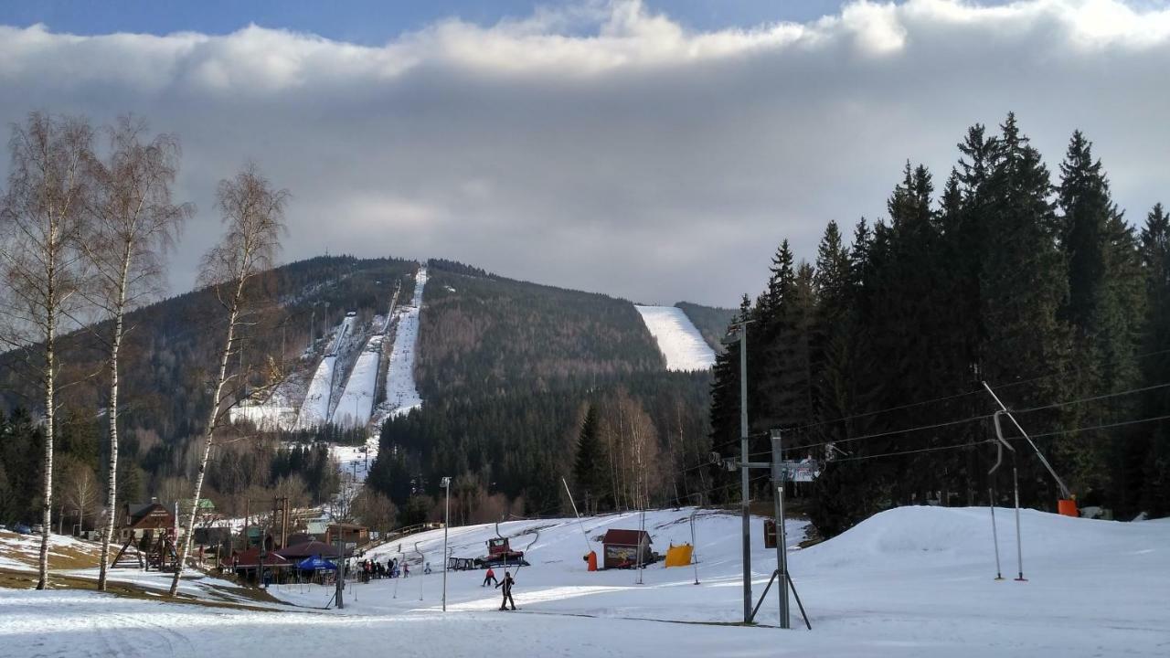 Harrachov Resident Apartments "Terrace & Chill" - High Speed Wifi, Smart Tv, Netflix, Disney Plus Eksteriør billede