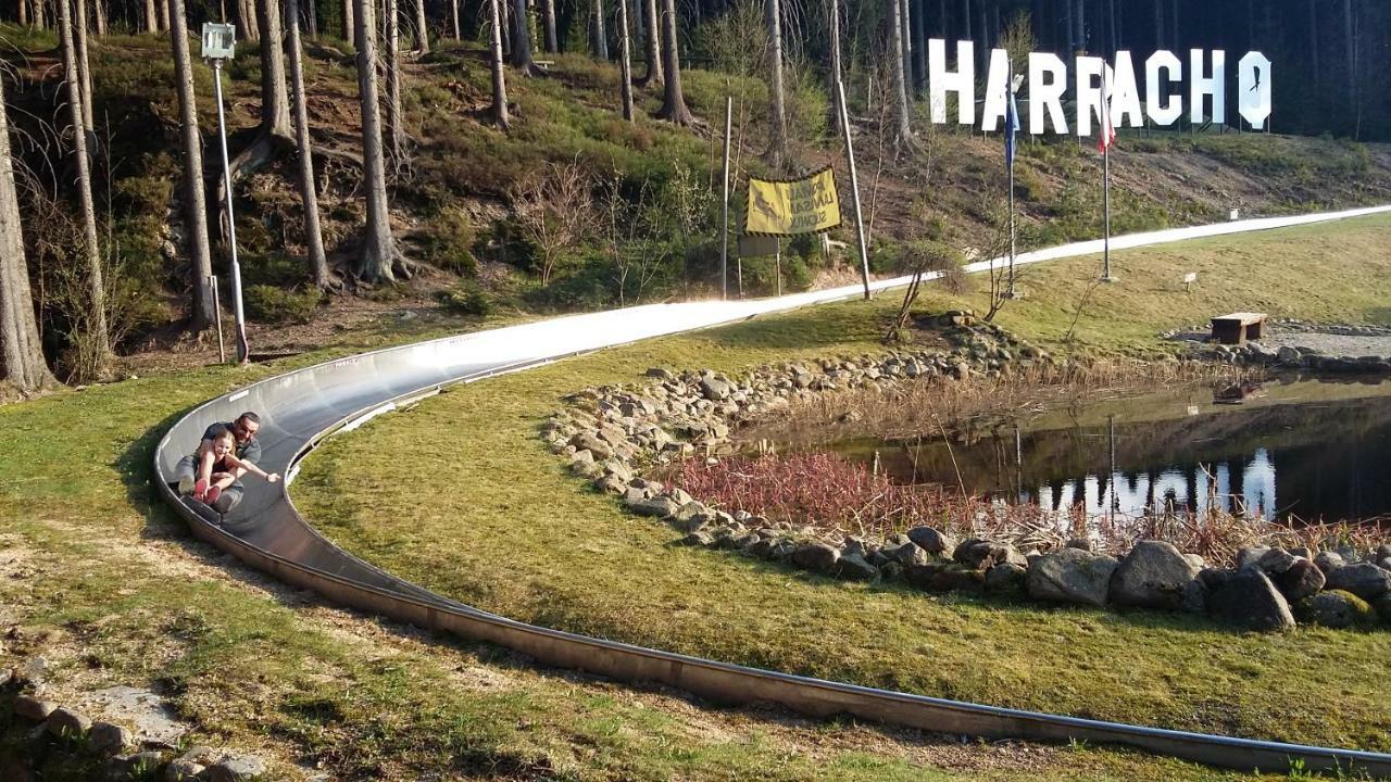 Harrachov Resident Apartments "Terrace & Chill" - High Speed Wifi, Smart Tv, Netflix, Disney Plus Eksteriør billede