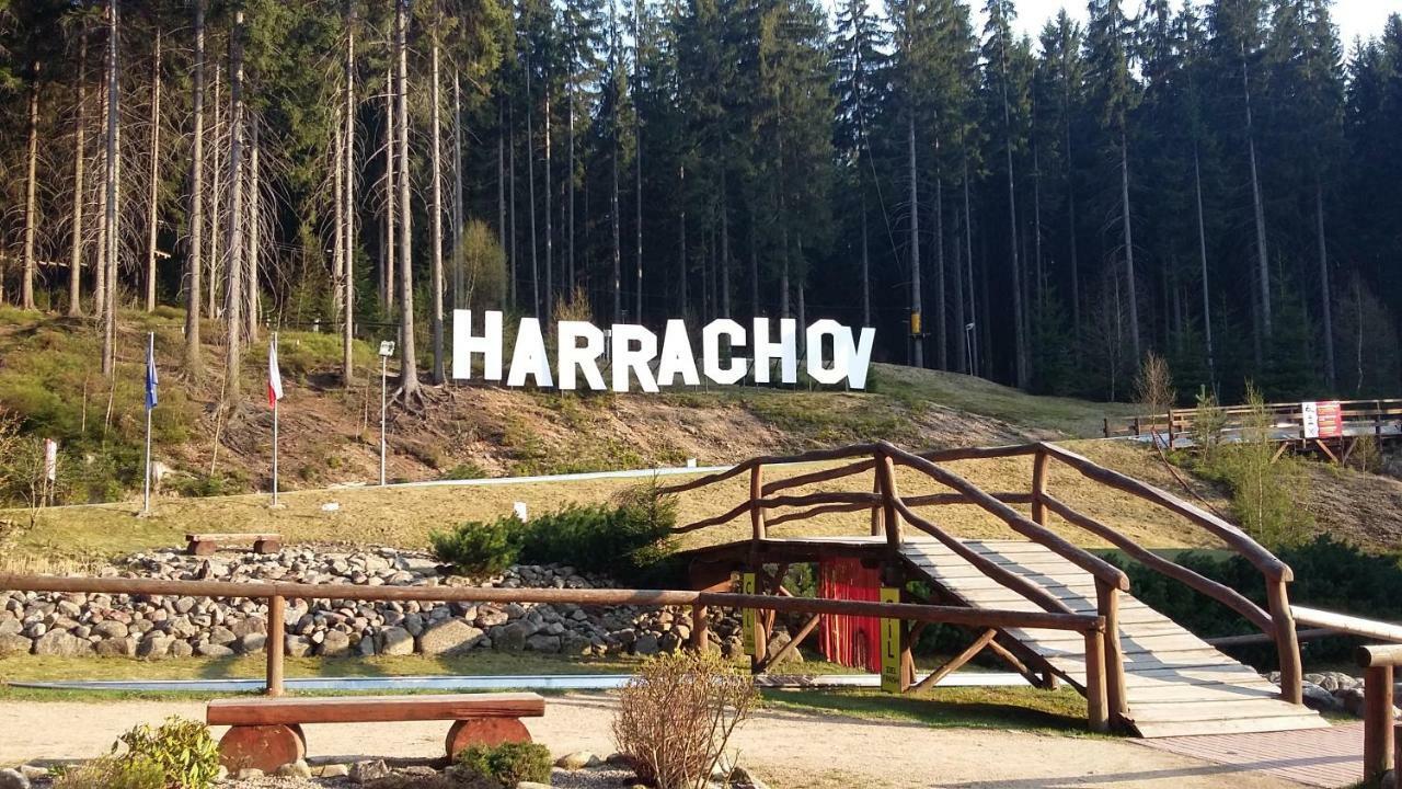 Harrachov Resident Apartments "Terrace & Chill" - High Speed Wifi, Smart Tv, Netflix, Disney Plus Eksteriør billede